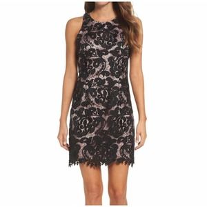 Eliza J Dress Womens 6 Black Lace Sleeveless Mini Cocktail Party Fitted Sheath
